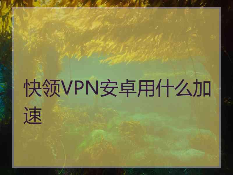 快领VPN安卓用什么加速