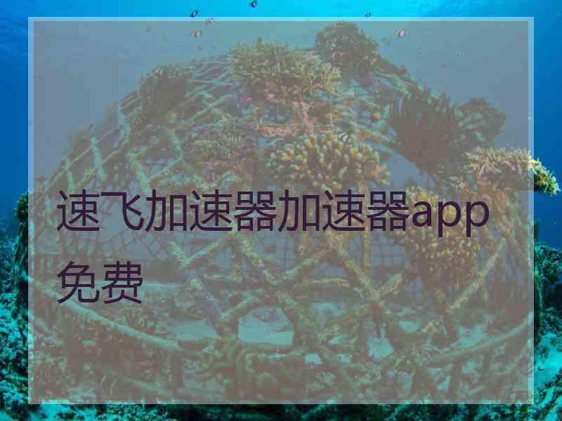 速飞加速器加速器app免费