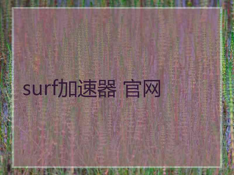 surf加速器 官网