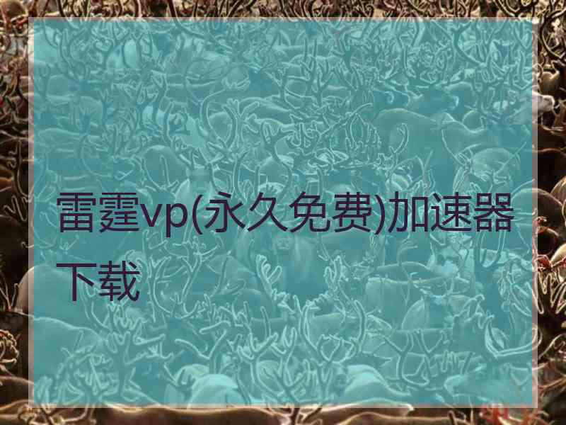 雷霆vp(永久免费)加速器下载