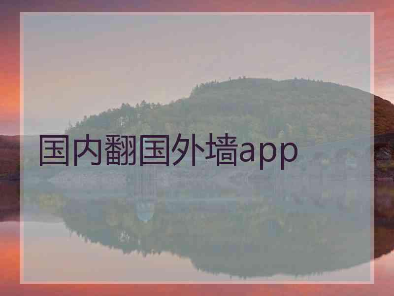 国内翻国外墙app