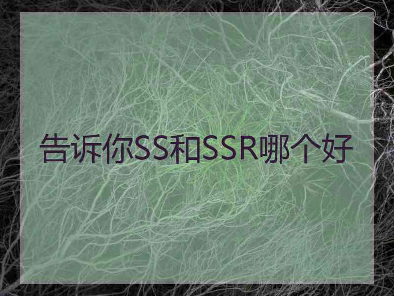 告诉你SS和SSR哪个好