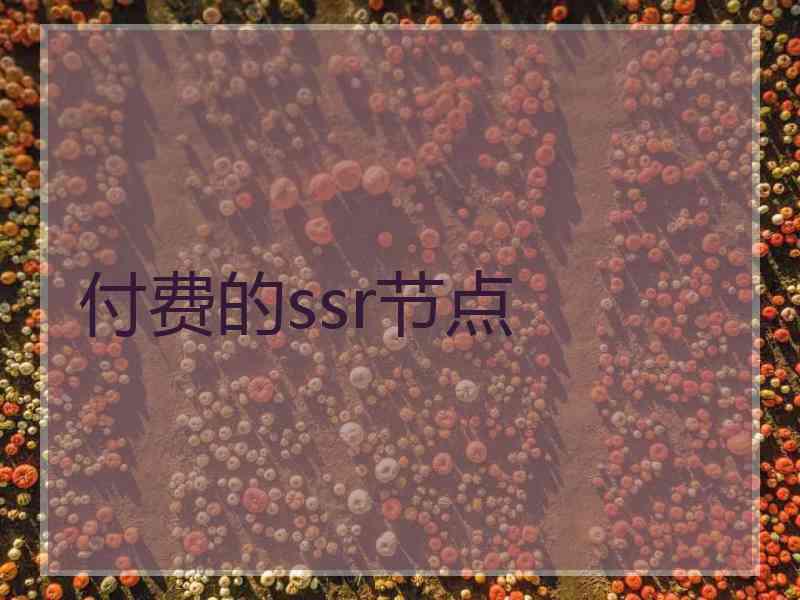 付费的ssr节点