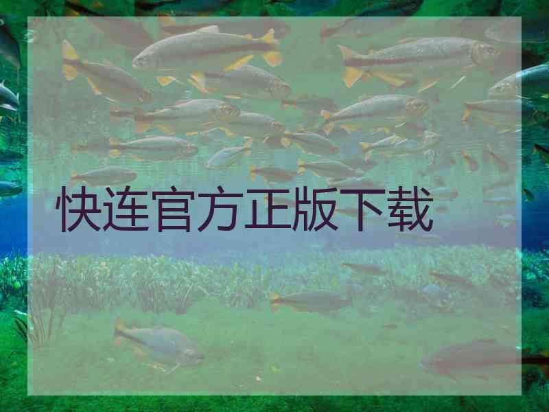 快连官方正版下载