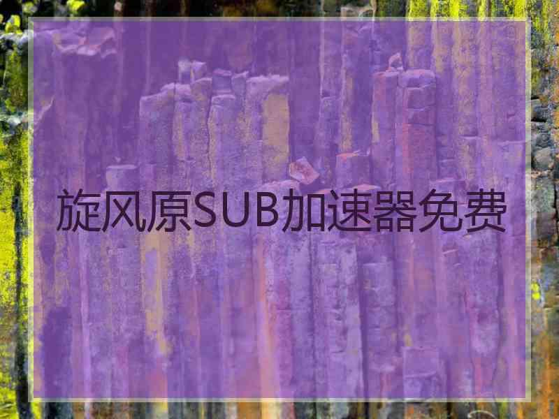 旋风原SUB加速器免费