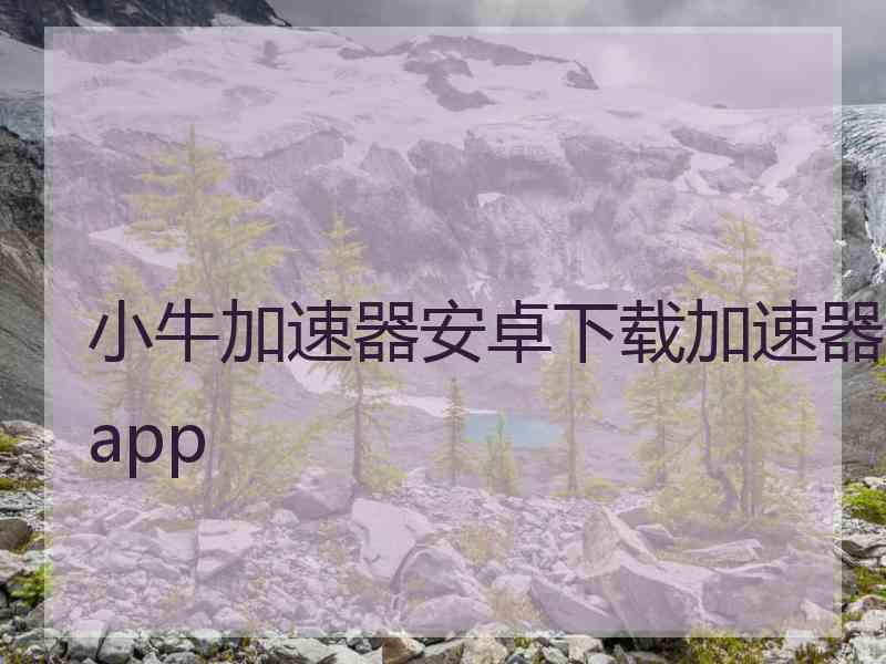 小牛加速器安卓下载加速器app