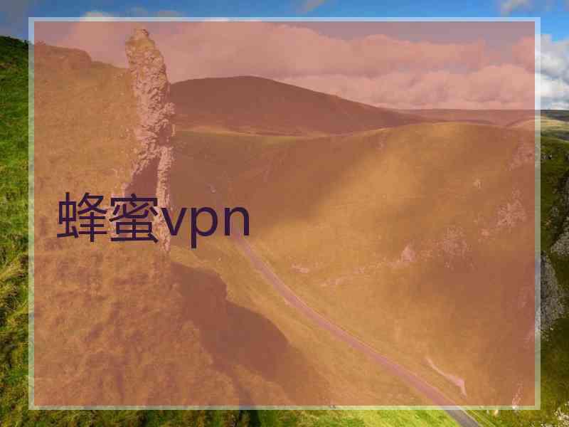 蜂蜜vpn