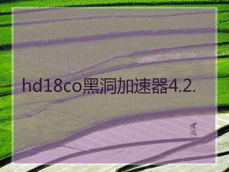 hd18co黑洞加速器4.2.