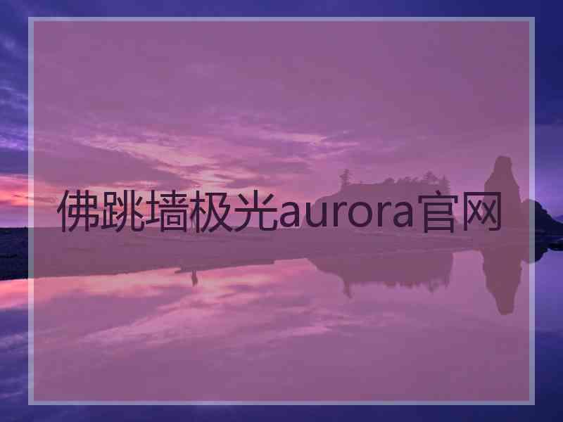 佛跳墙极光aurora官网