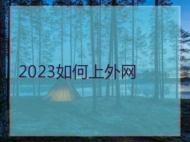 2023如何上外网