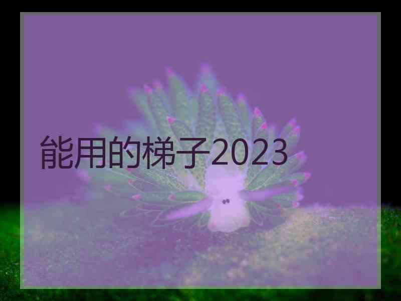 能用的梯子2023