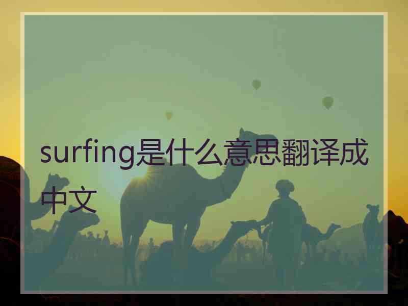 surfing是什么意思翻译成中文