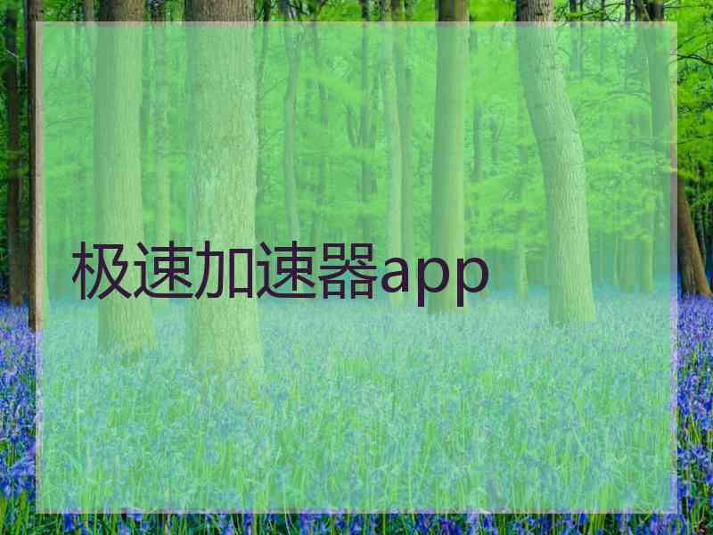 极速加速器app