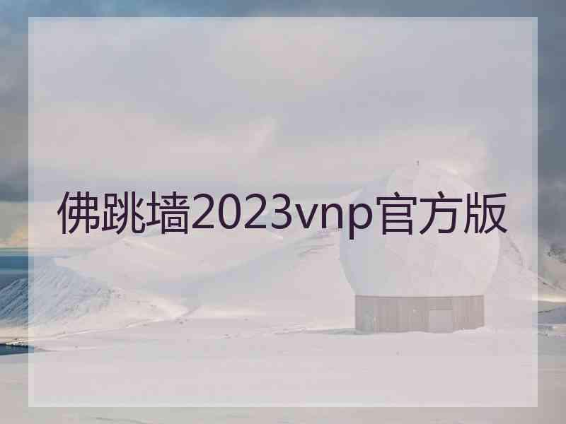 佛跳墙2023vnp官方版