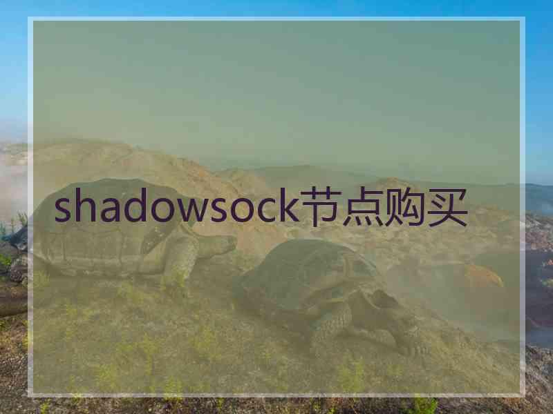 shadowsock节点购买