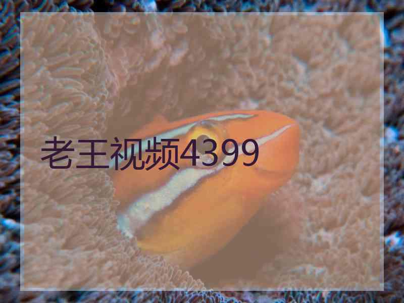 老王视频4399