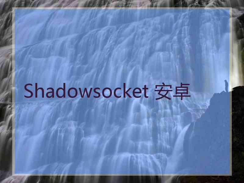 Shadowsocket 安卓