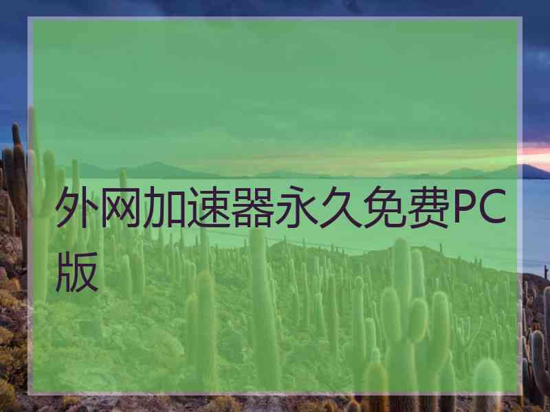 外网加速器永久免费PC版