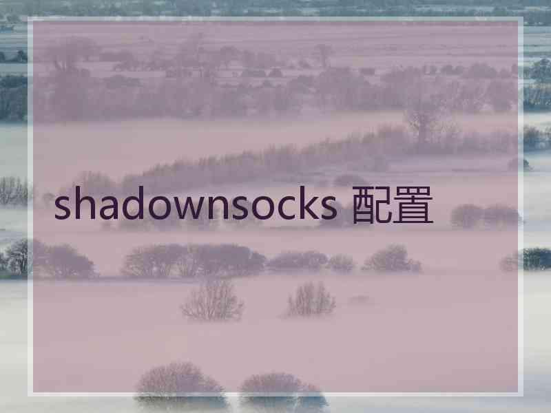 shadownsocks 配置