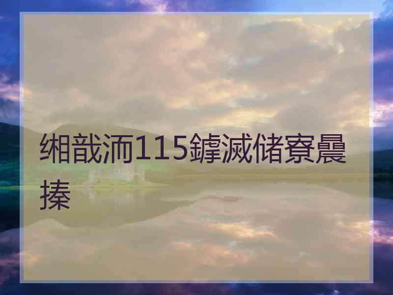 缃戠洏115鎼滅储寮曟搸