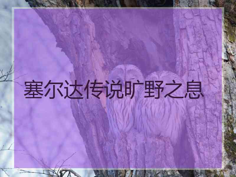 塞尔达传说旷野之息