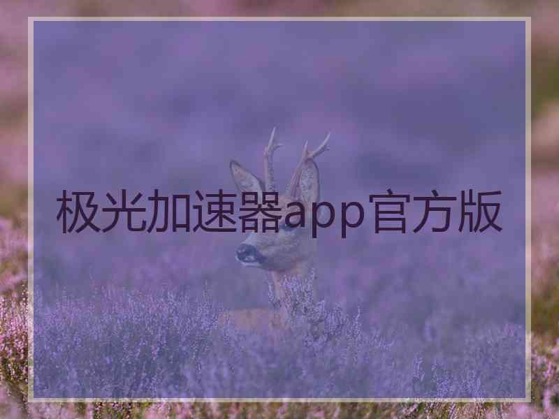 极光加速器app官方版