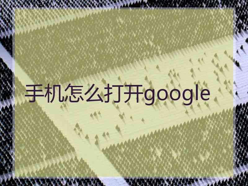 手机怎么打开google