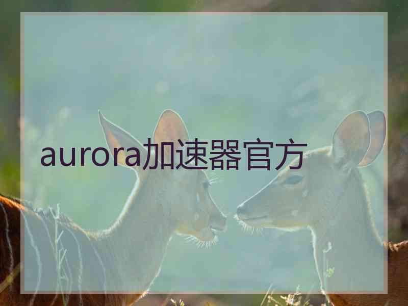 aurora加速器官方