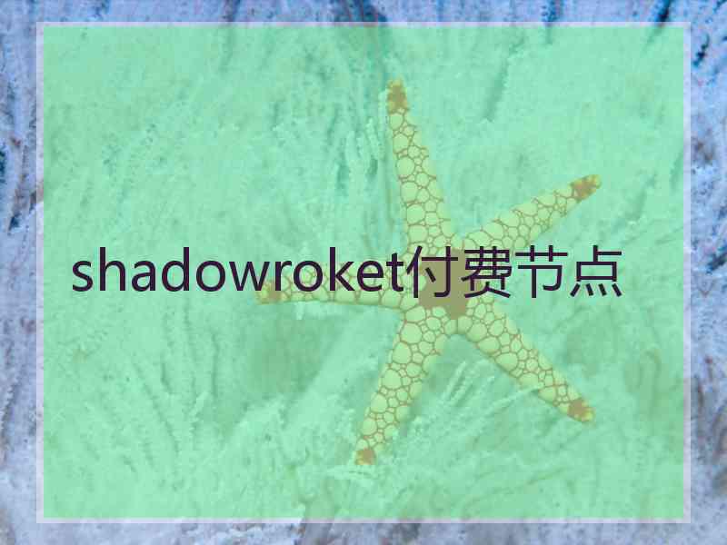 shadowroket付费节点