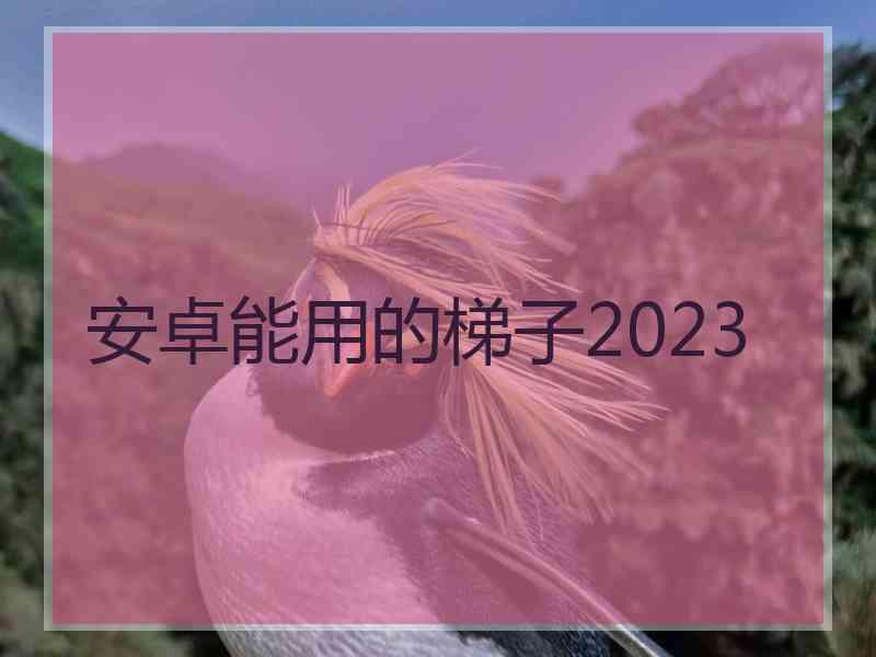 安卓能用的梯子2023