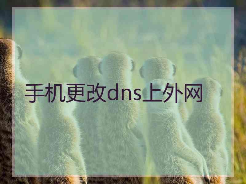 手机更改dns上外网