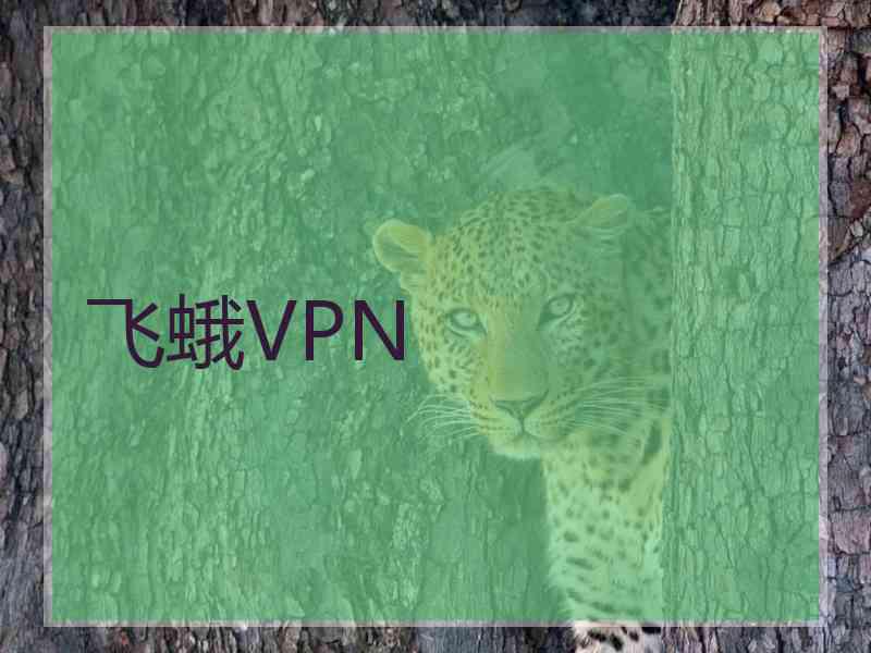 飞蛾VPN