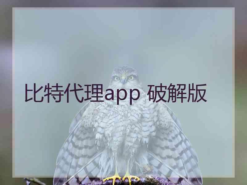 比特代理app 破解版