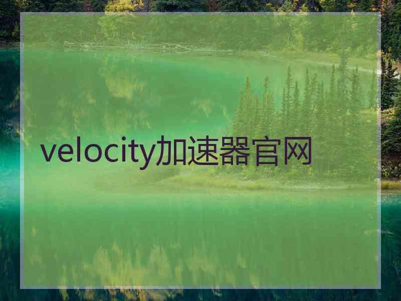 velocity加速器官网