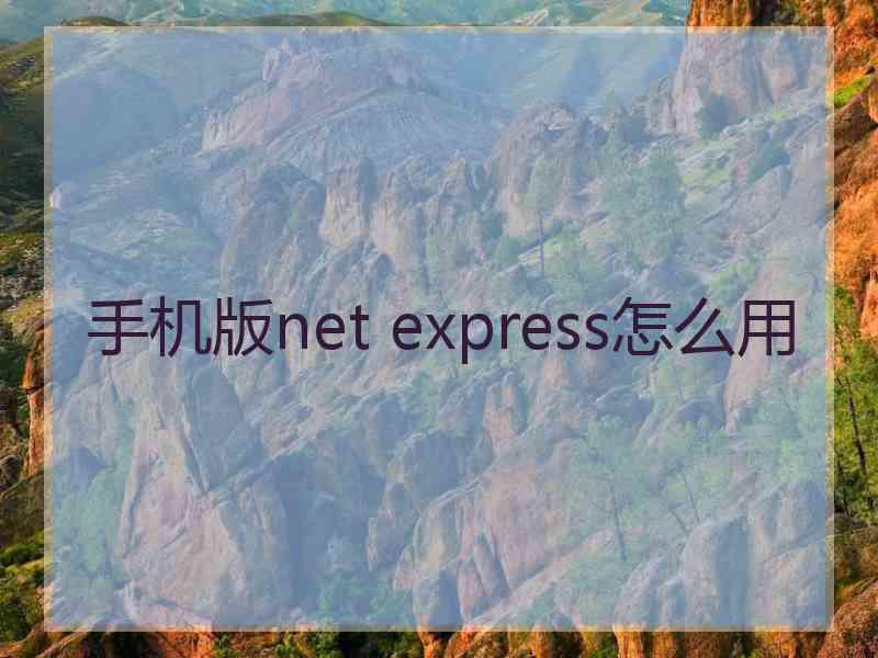 手机版net express怎么用