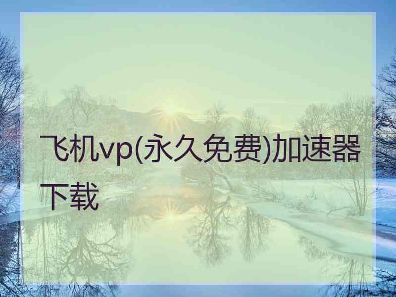 飞机vp(永久免费)加速器下载