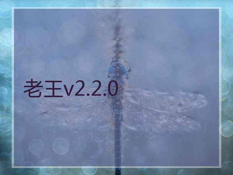 老王v2.2.0