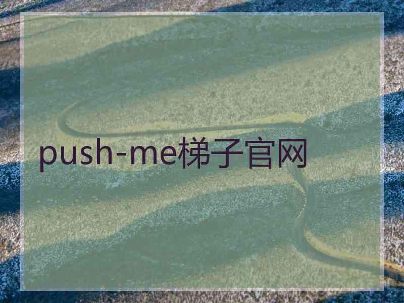 push-me梯子官网