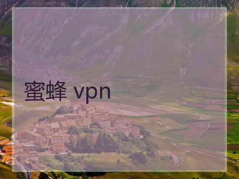 蜜蜂 vpn