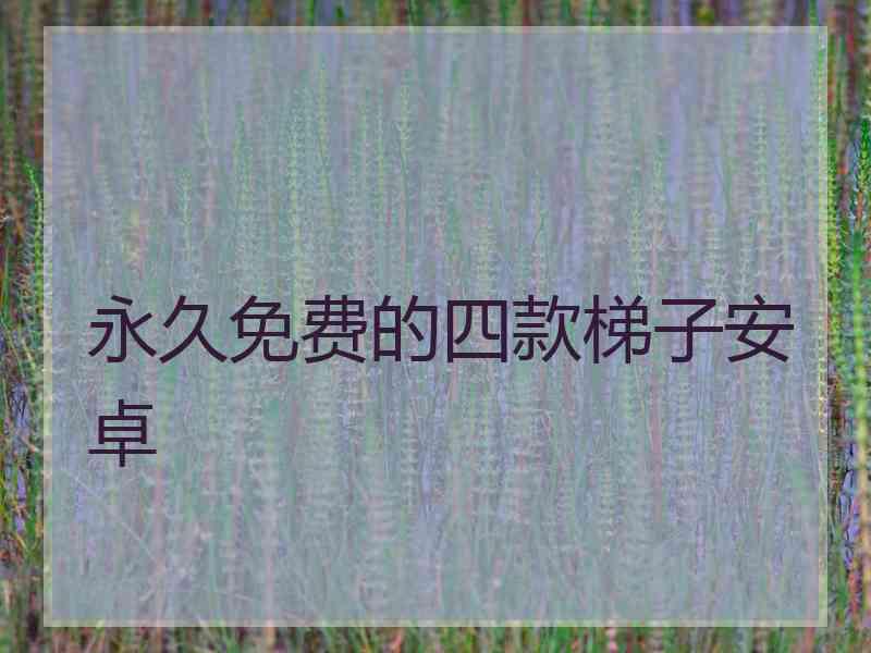 永久免费的四款梯子安卓