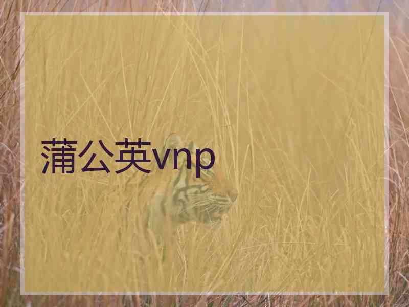 蒲公英vnp