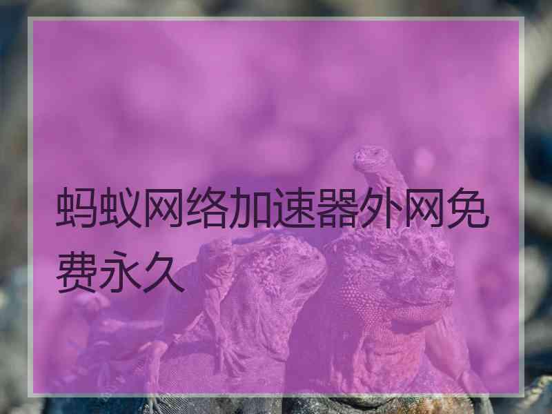 蚂蚁网络加速器外网免费永久