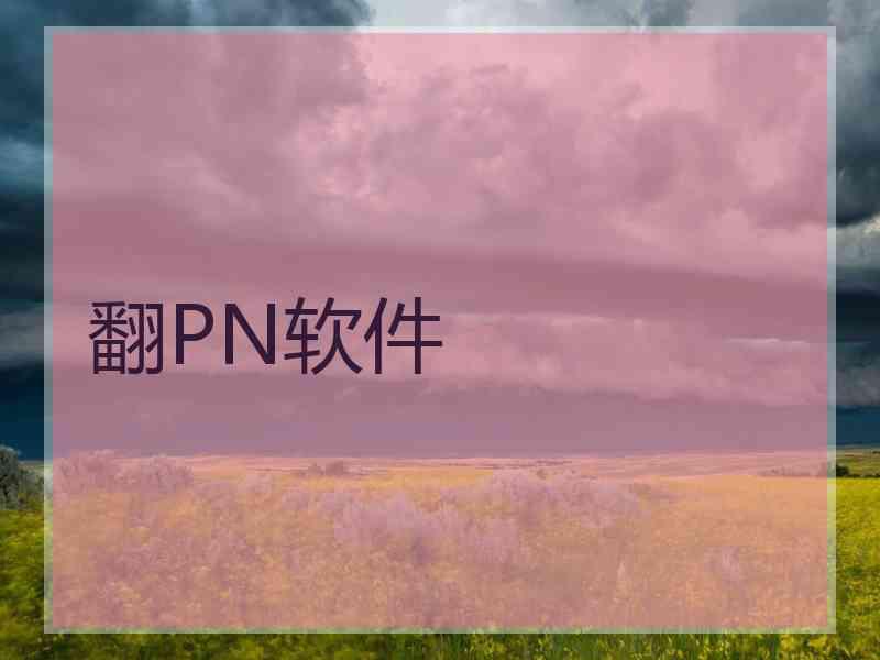 翻PN软件