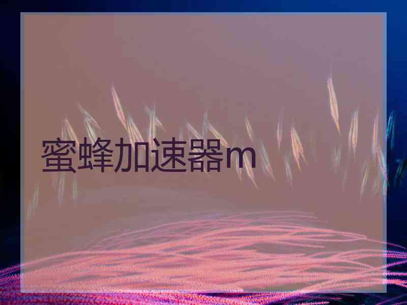 蜜蜂加速器m