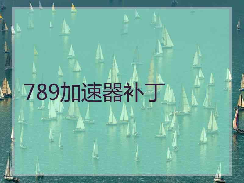 789加速器补丁