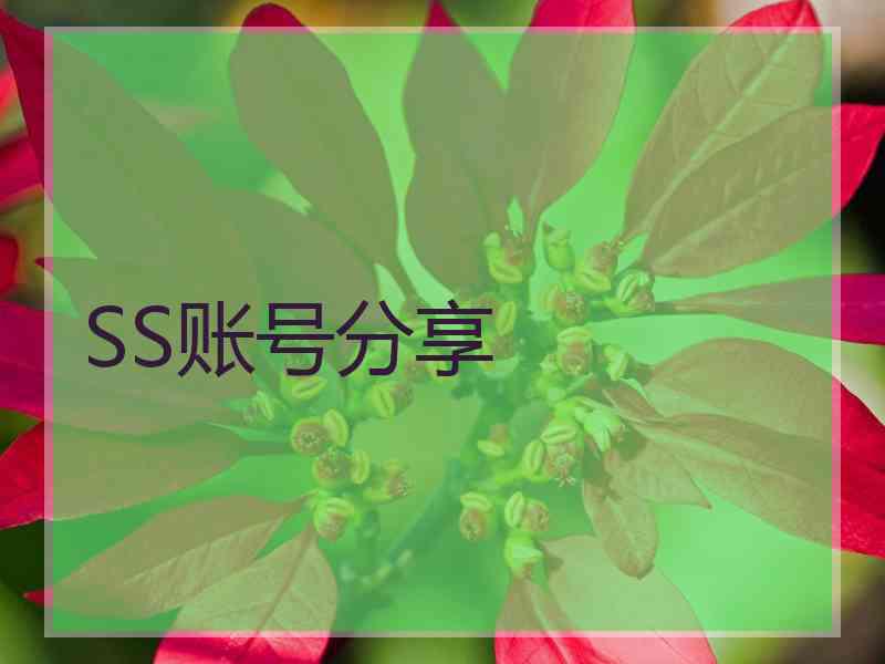 SS账号分享