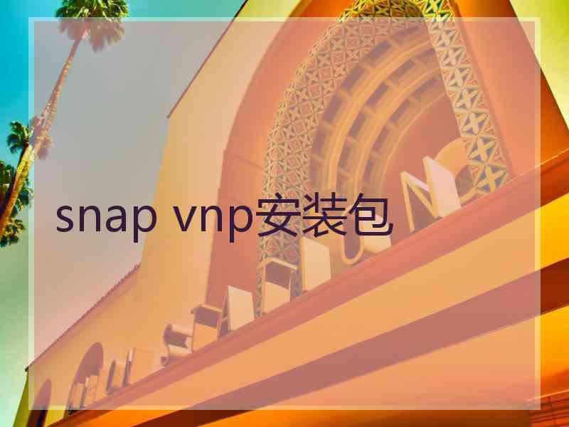 snap vnp安装包