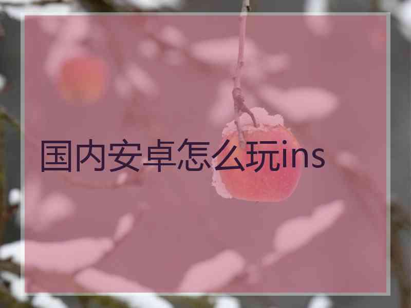 国内安卓怎么玩ins