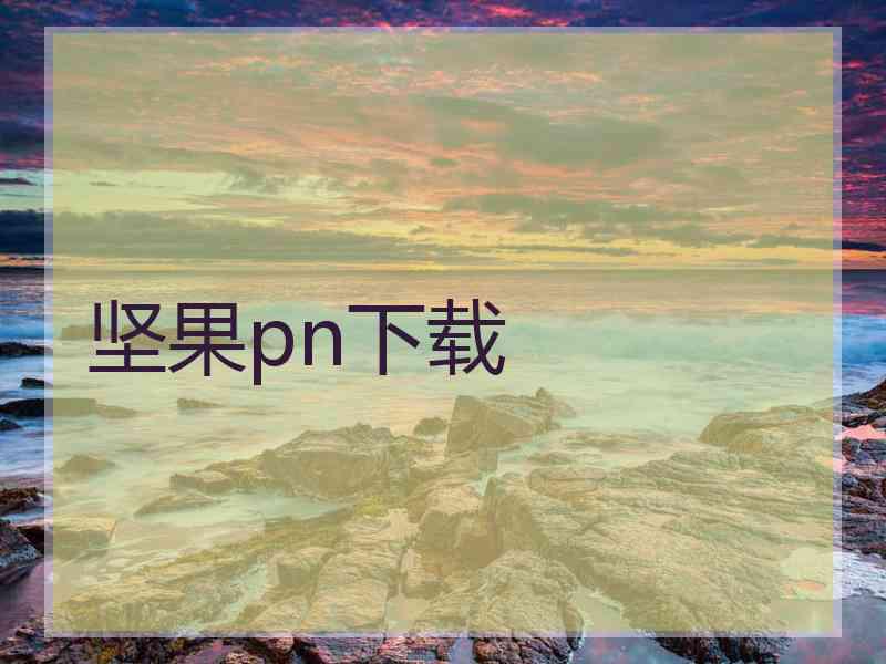 坚果pn下载