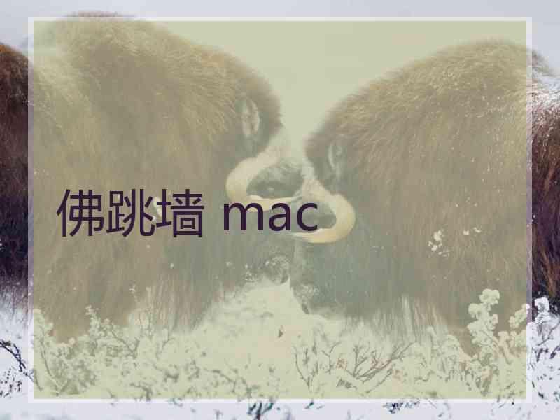 佛跳墙 mac